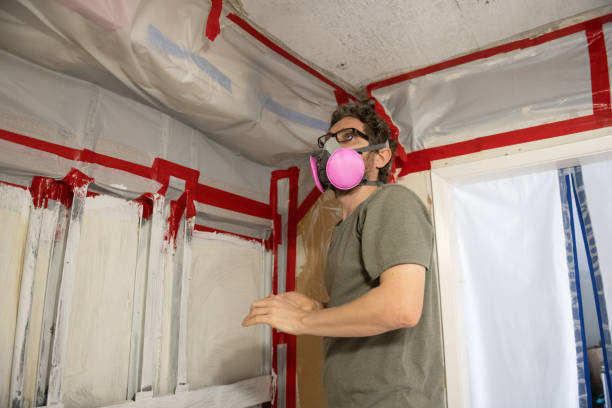 Best Air Quality Testing for Mold Spores  in Poquott, NY